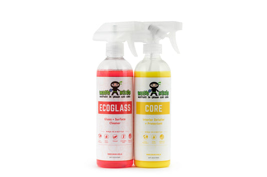 Glass and Surface + Protectant Car Cleaning Kit